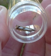 Treflekket nebbmott (Catoptria permutatellus)