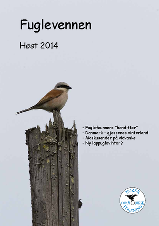 Forsiden til Fuglevennen høst 2014