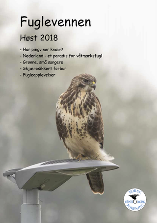 Forsiden til Fuglevennen høst 2018